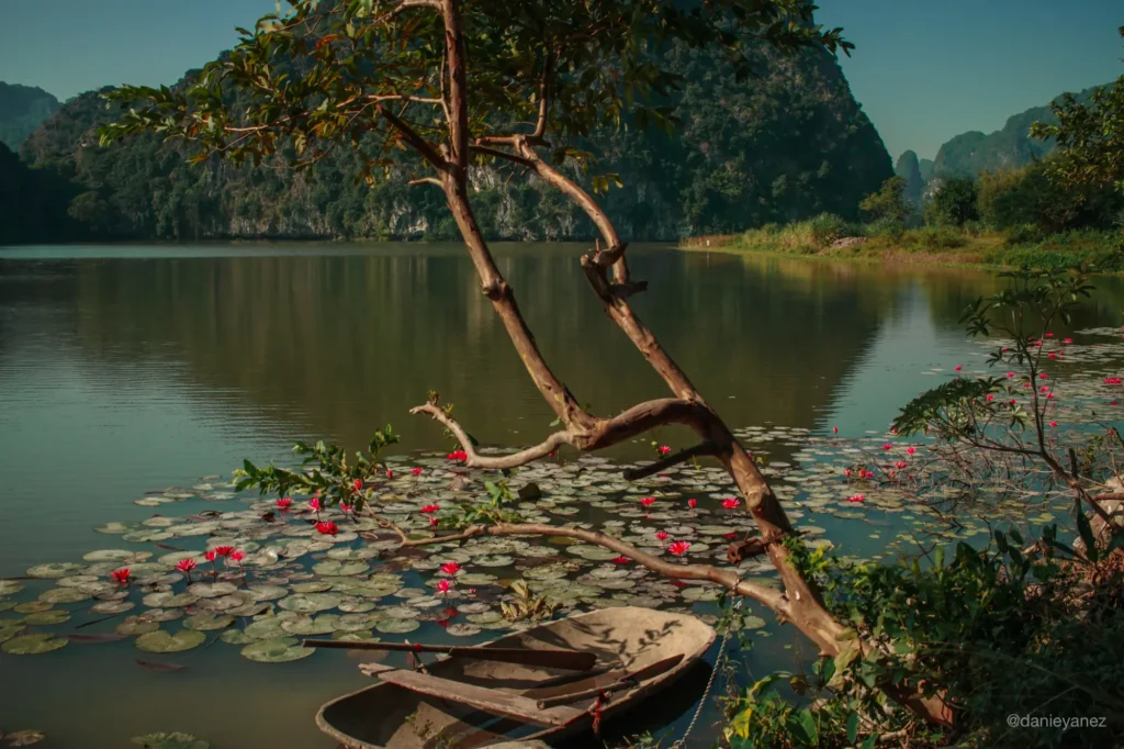 Karsts de piedra caliza rodeando el río Trang An con una barca y flores en Ninh Binh