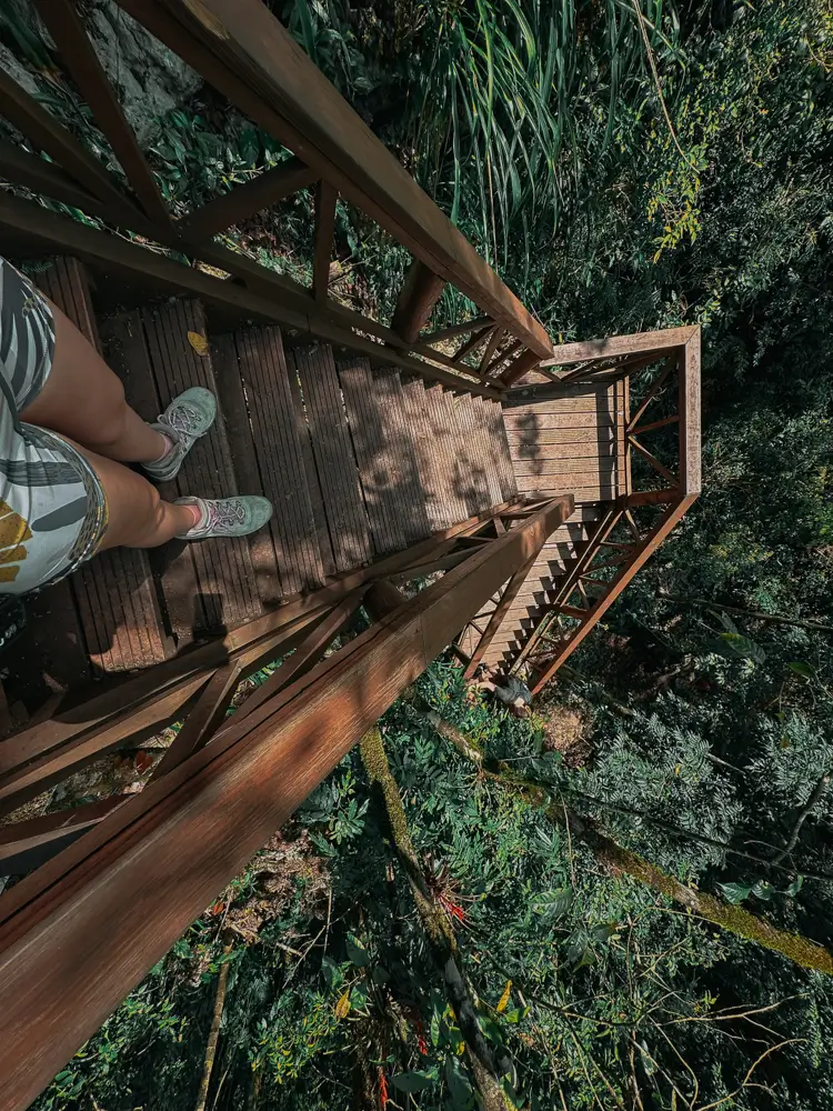 Escaleras al mirador de Semuc Champey vista de arriba