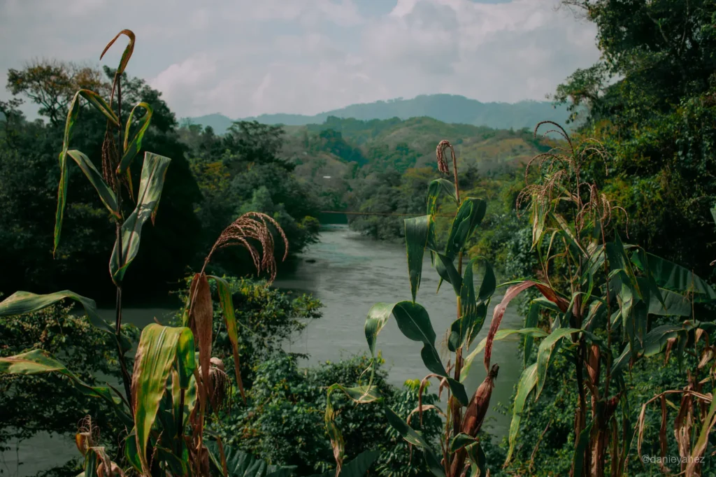 Rio en el camino a Semuc Champey