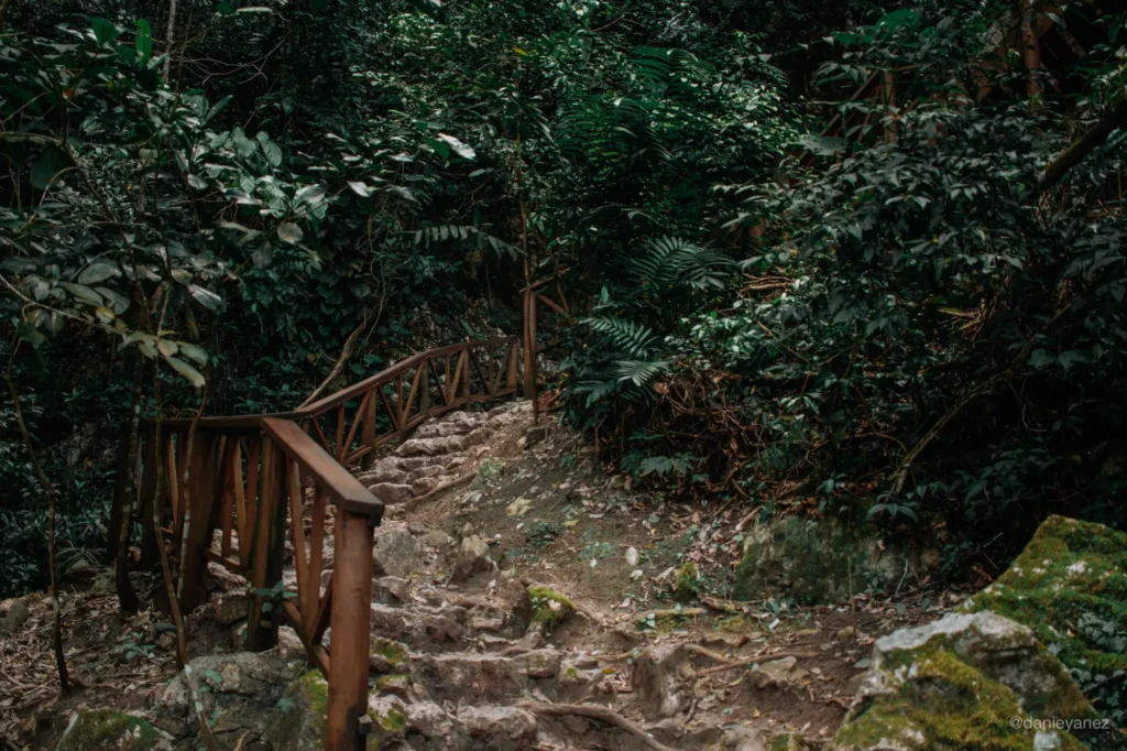 Escaleras al mirador de Semuc Champey