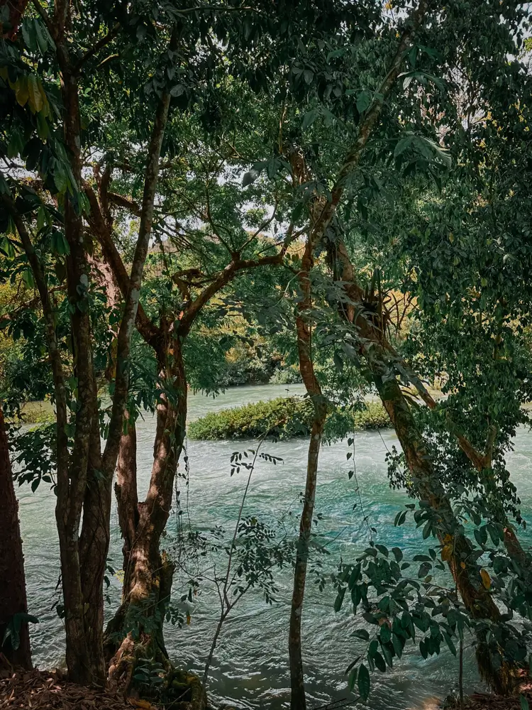 Rio que sale de Semuc Champey, foto desde Utopia