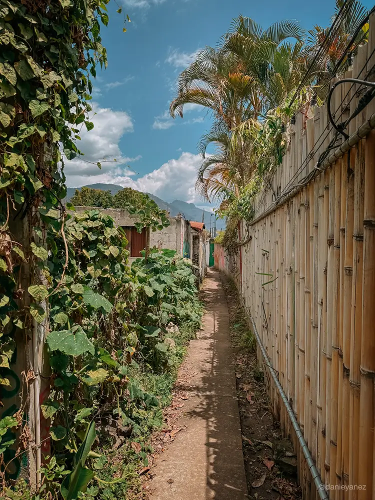 Calle en San Pedro La Laguna