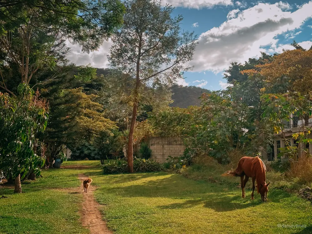 area verde en San Pedro la laguna