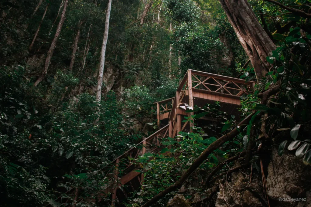 Escaleras para subir al mirador de Semuc Champey