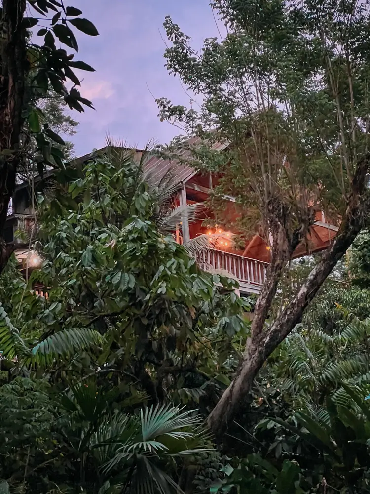 Hotel Utopía vista desde la jungla